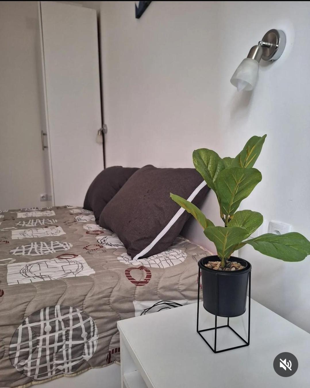 Apartmani Koki Кладово Екстериор снимка