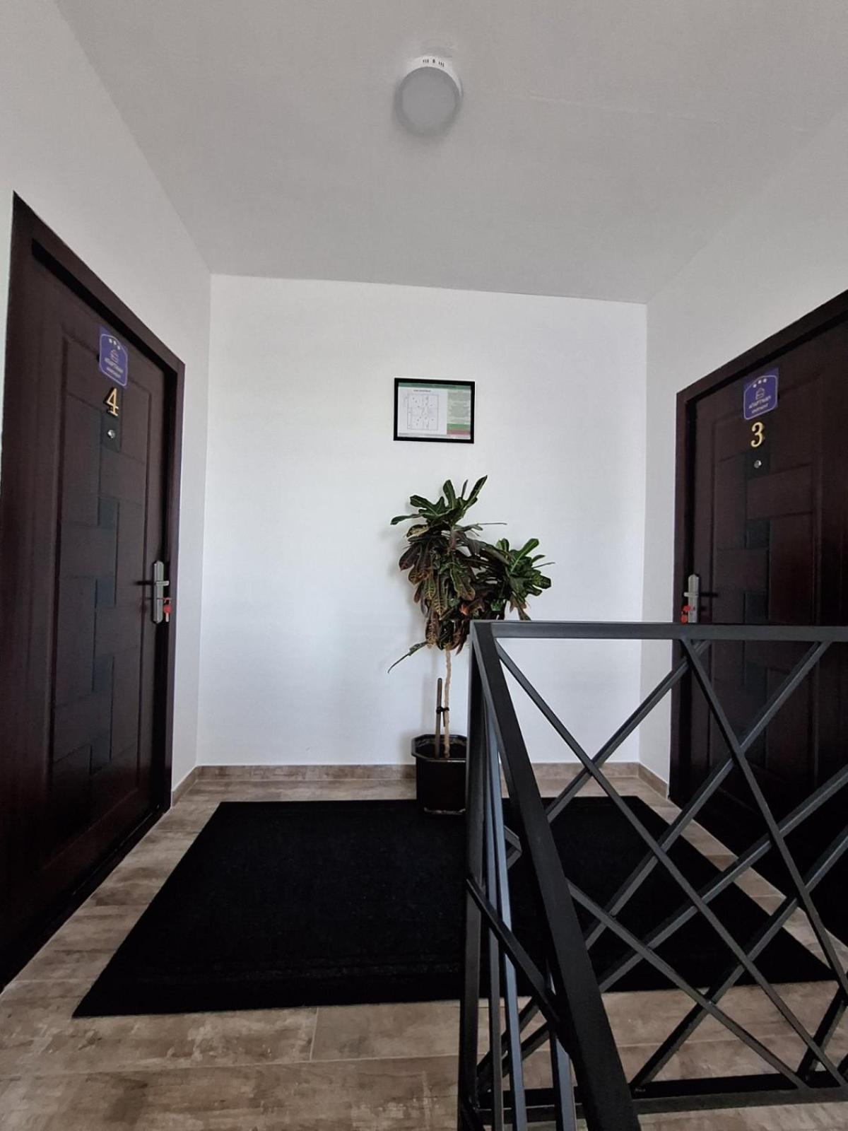 Apartmani Koki Кладово Екстериор снимка
