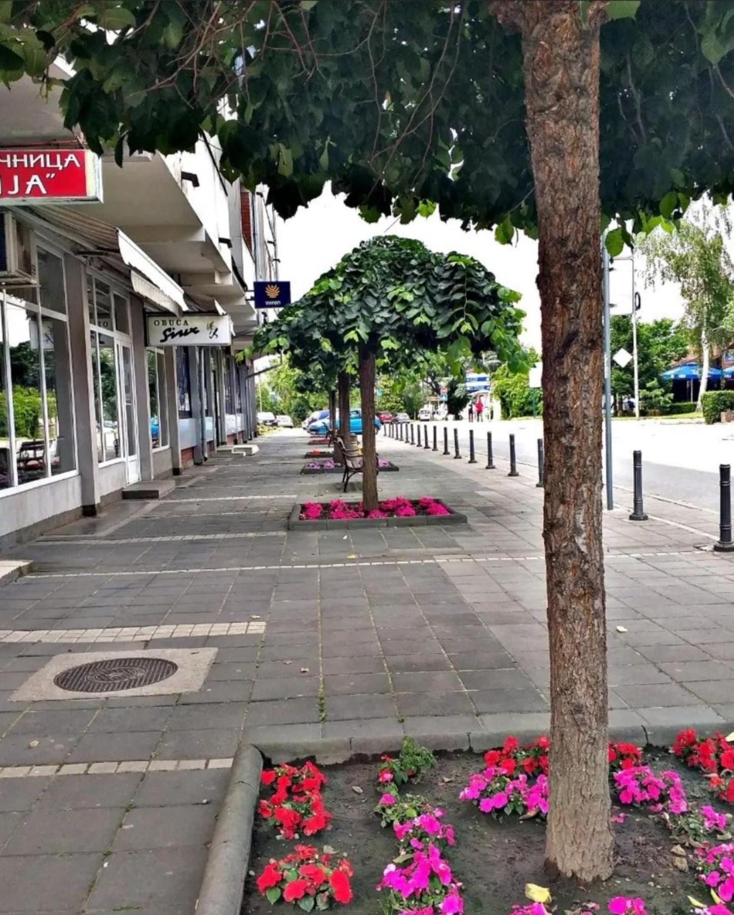 Apartmani Koki Кладово Екстериор снимка